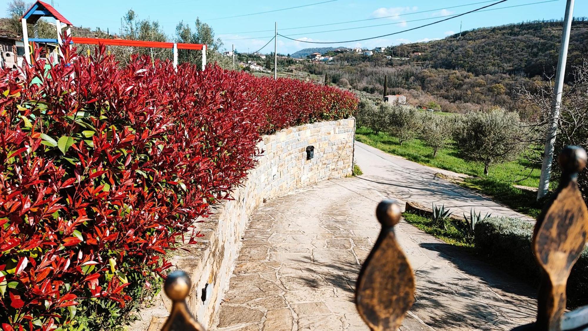 Apartment Wine & Olive Oil Mofardin Koper Exterior photo